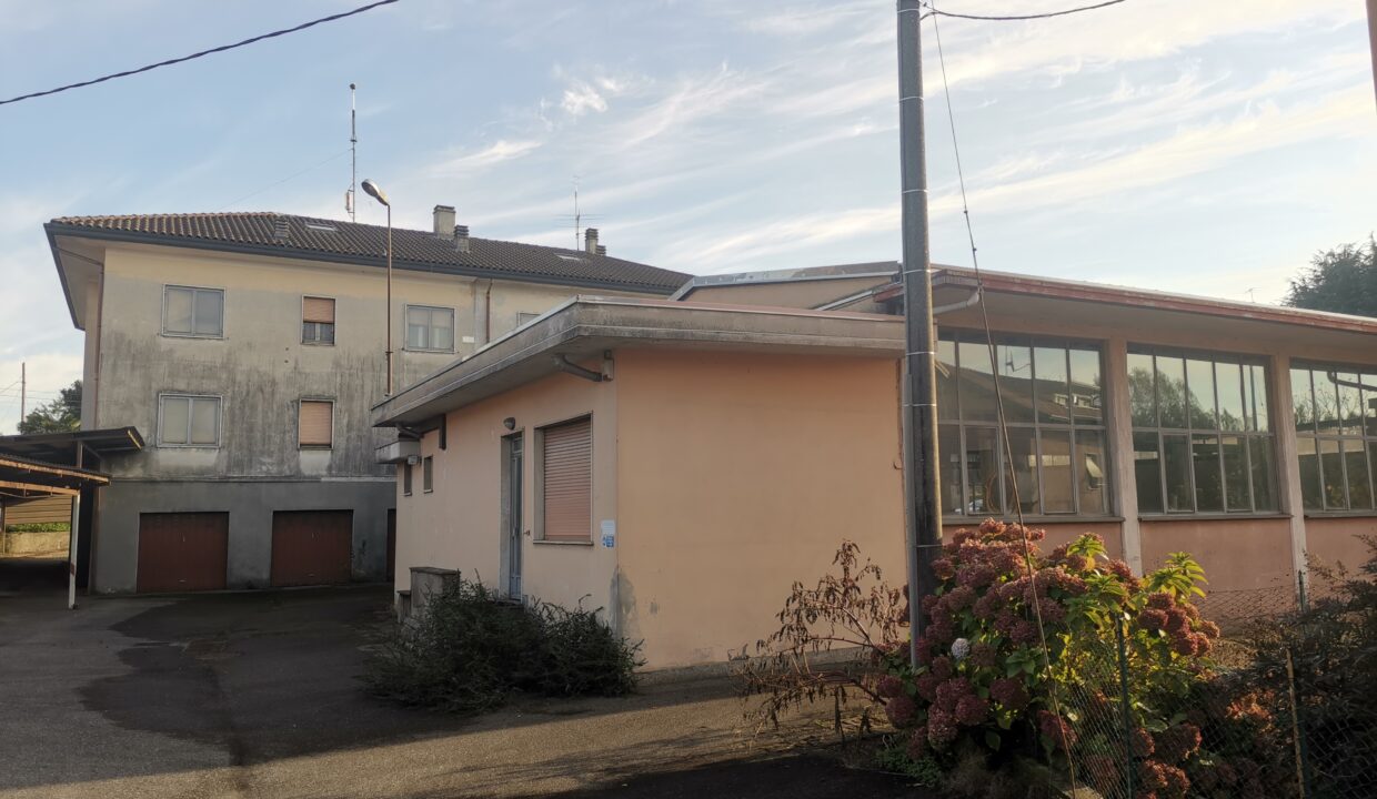 IMG_20241107_150530