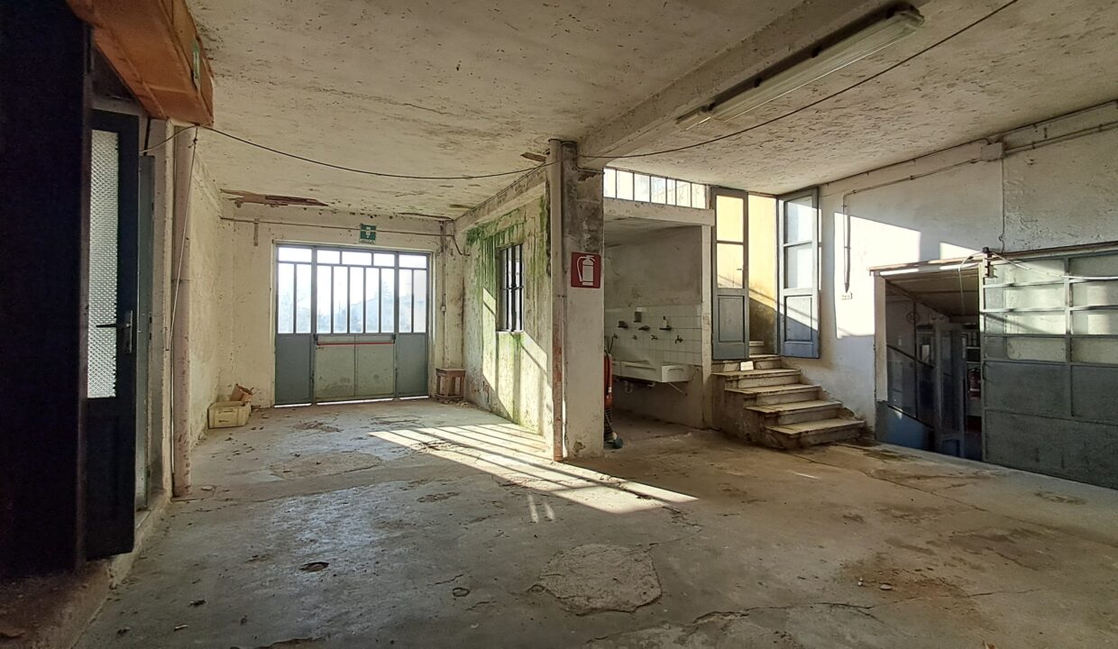 20250304_091117