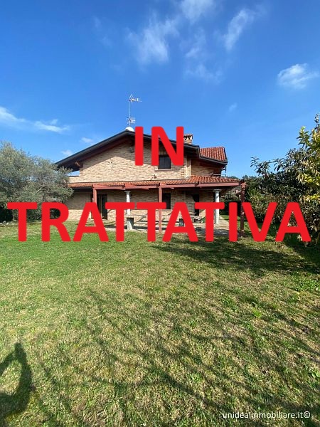 image516 TR6